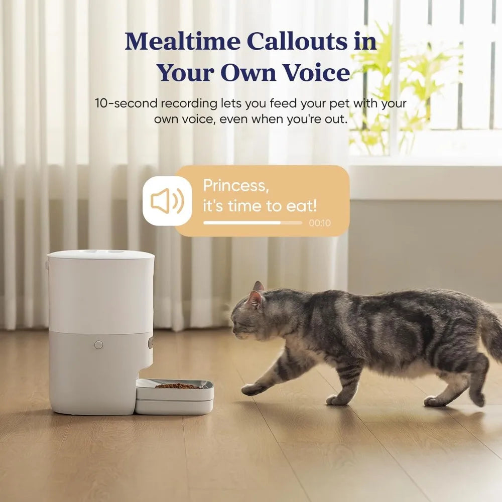 WiFi Smart Pet Feeder With Scale And App Control Remote