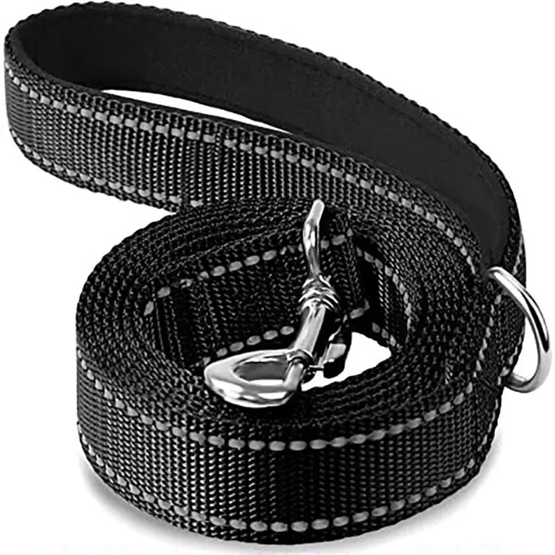 Night Reflective Dog Leash for Walking and Training