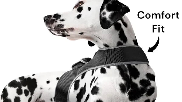 NONECN GPS Tracking Collar Real Time Location For Cats Dogs