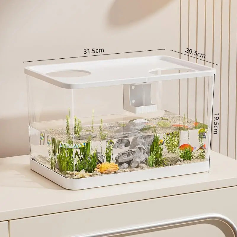 Transparent Mini Fish Tank With Lid For Desktop Aquarium Decor