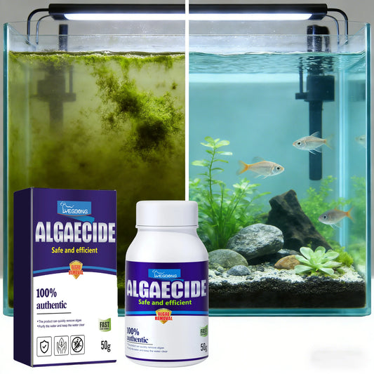 Aquarium Algae and Moss Remover Fast Acting for Clear Tanks