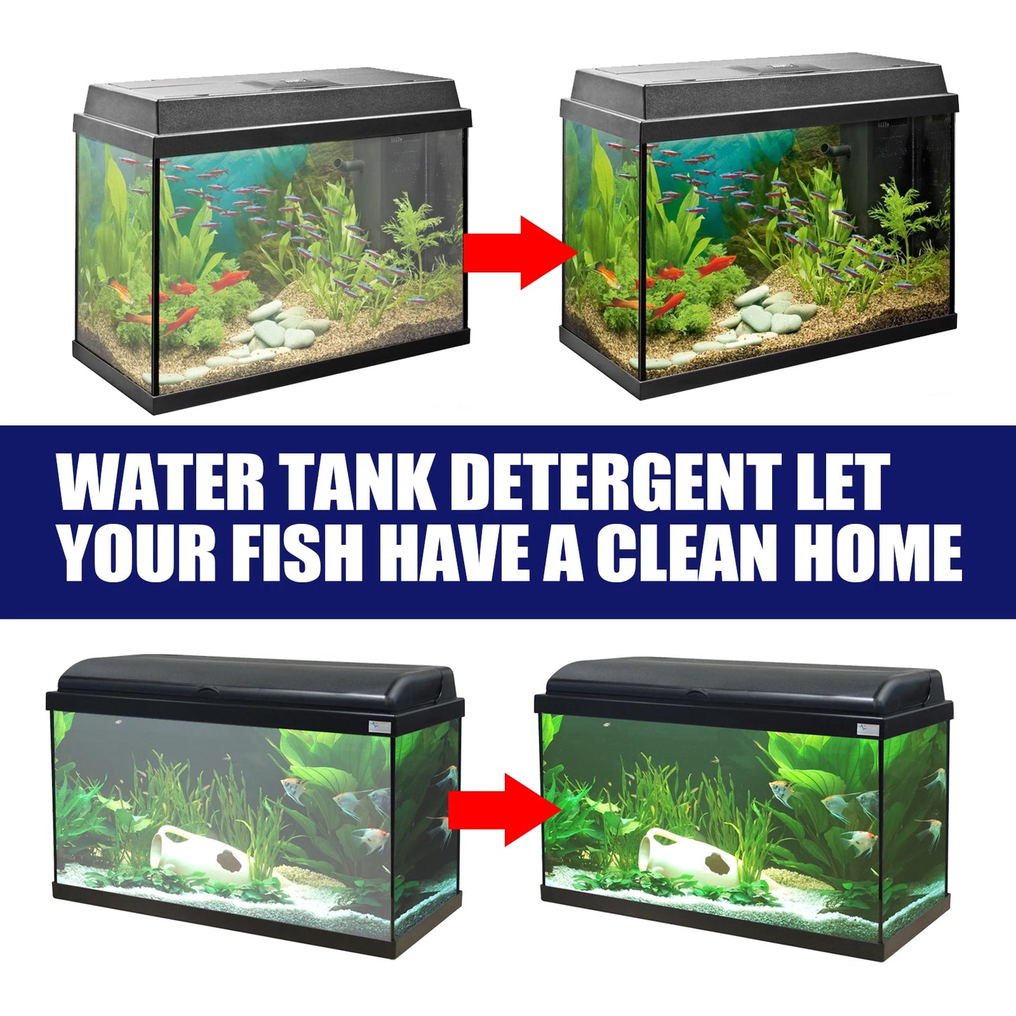 Aquarium Algae and Moss Remover Fast Acting for Clear Tanks