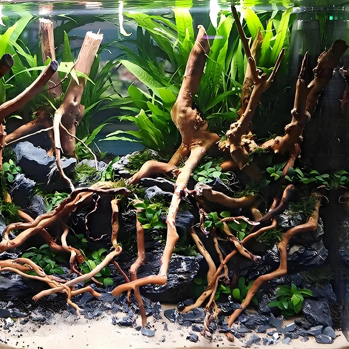 Natural Driftwood Root Trunk Aquarium Decor For Reptiles