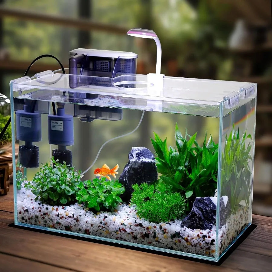 Glass Fish Tank Starter Kit With Built In LED Light