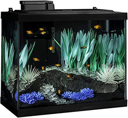 Aquarium Kit With LED Lighting And Decor For A Complete Fish Tank Setup