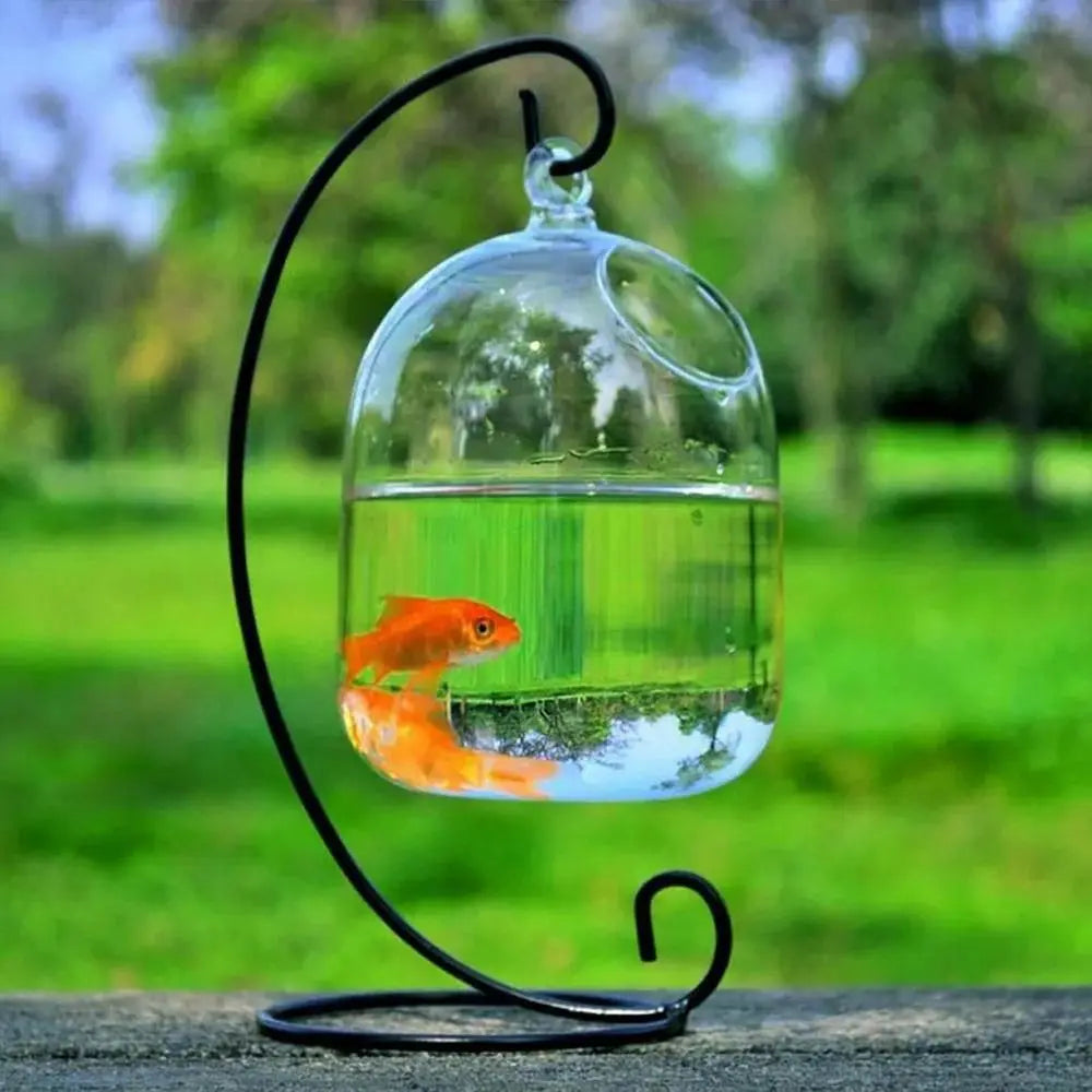 Hanging Glass Fish Bowl With Rack Holder For Home Decoration