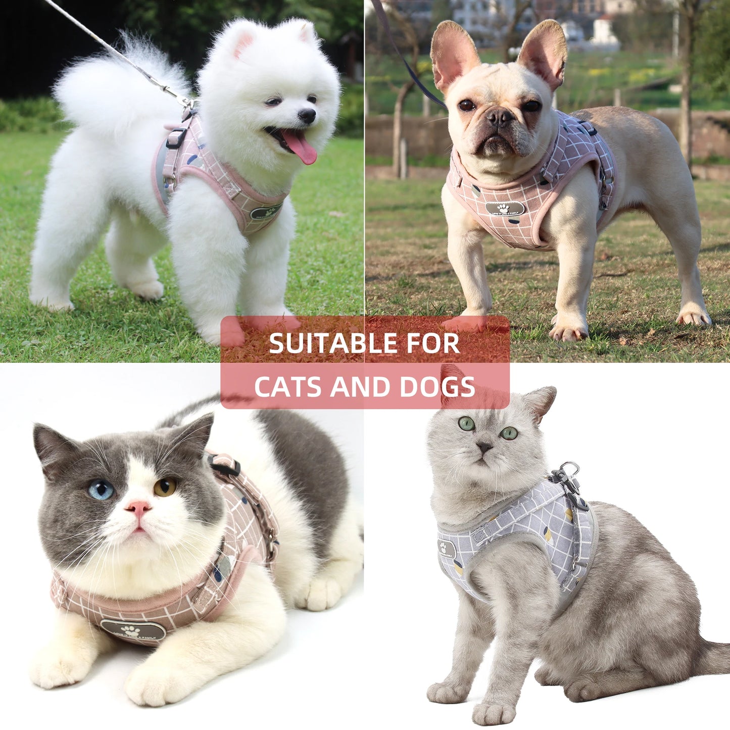 Breathable Reflective Poodle Pet Harness With Leash And Collar