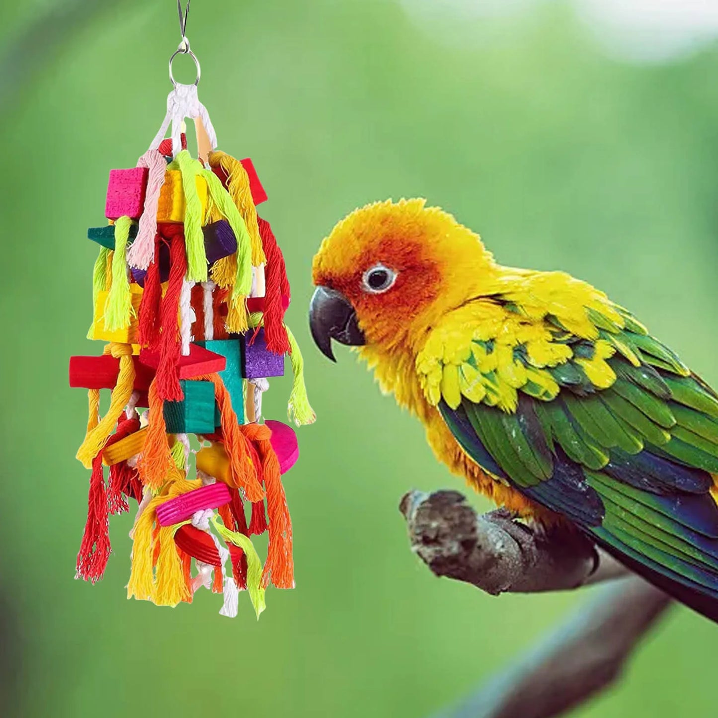 Rope Wooden Parrot Toy for Birds Gnawing Play Features