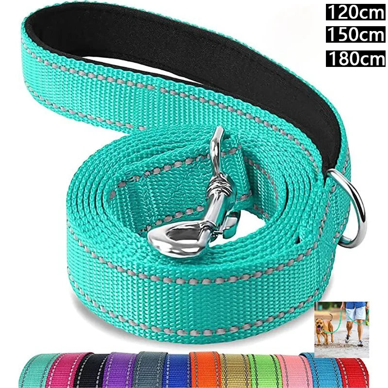 Night Reflective Dog Leash for Walking and Training