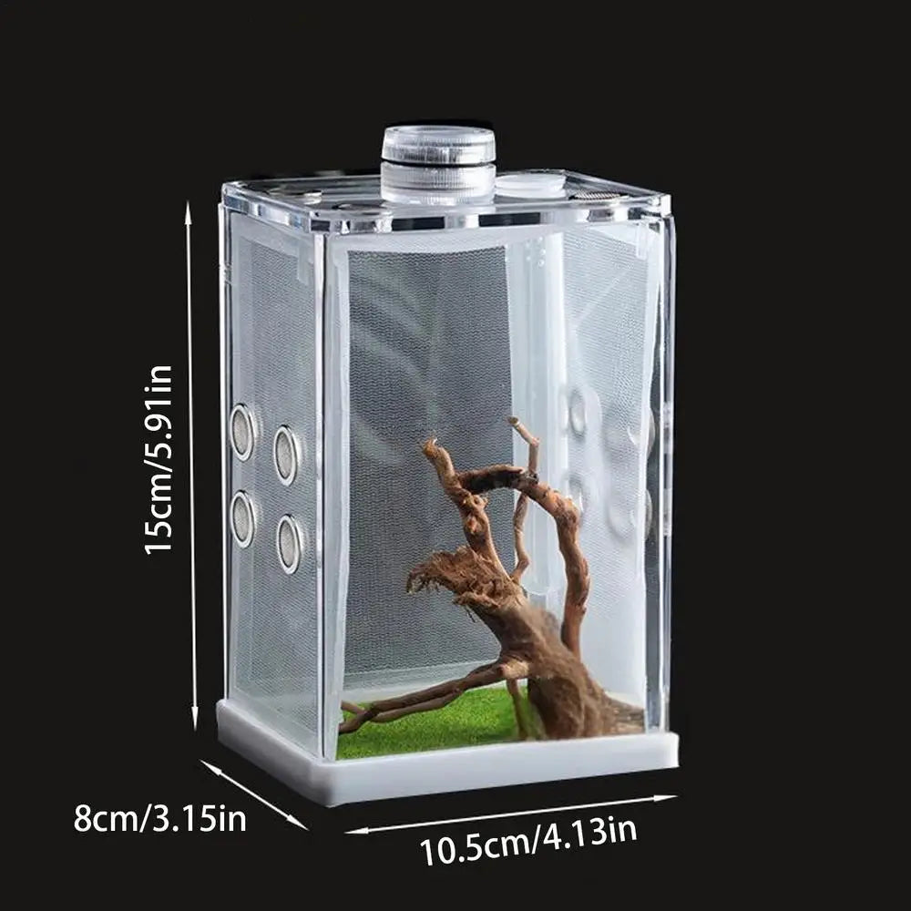 Liilaimic Spider Cage Reptile Hatching Box Breeding Tank