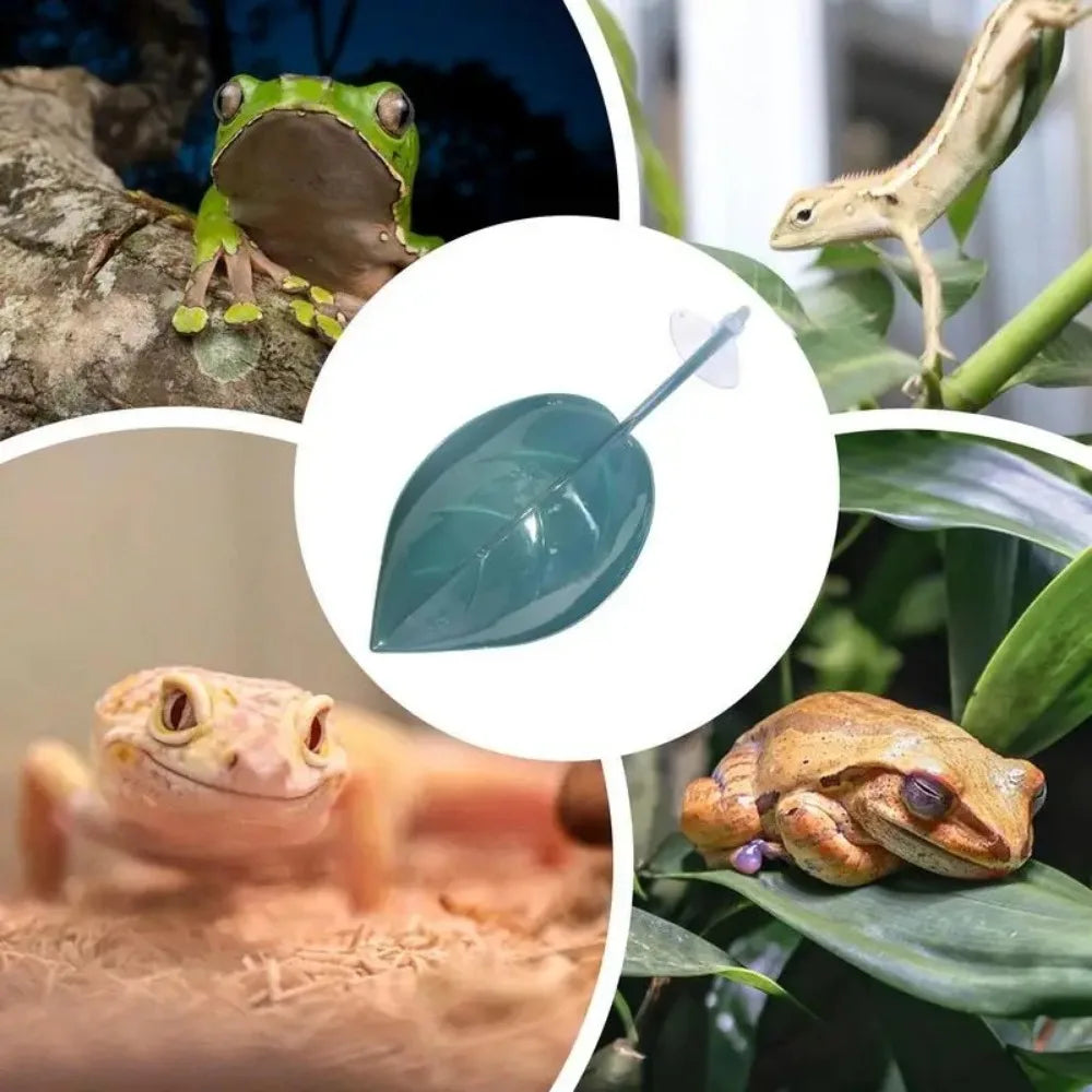 Frog Habitat Leaf Suction Cup Reptile Basking Accessory
