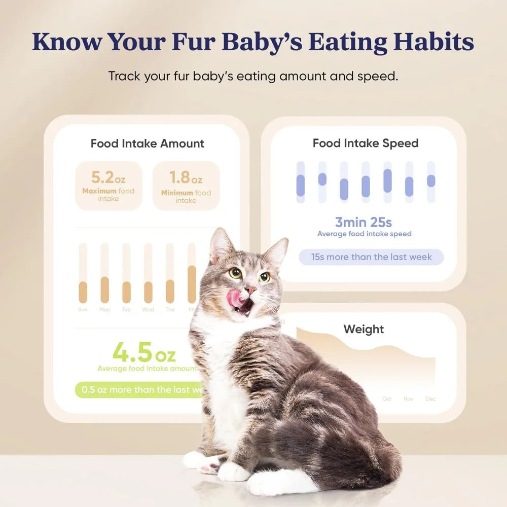 WiFi Smart Pet Feeder With Scale And App Control Remote