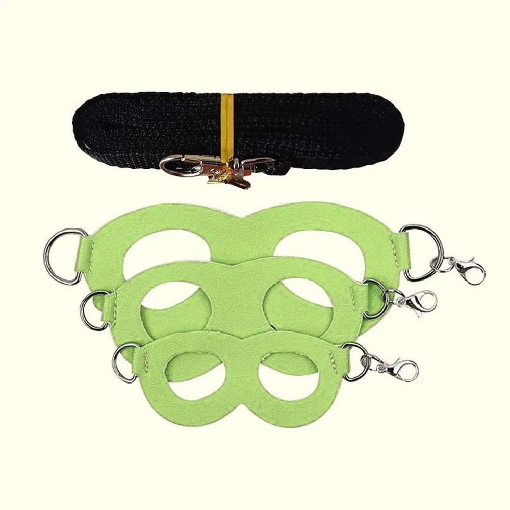Small Animal Harness and Leash Set with Escape Proof Collar