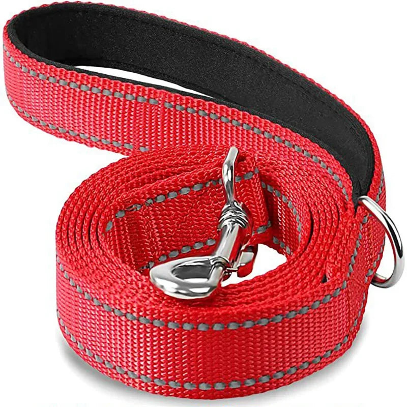 Night Reflective Dog Leash for Walking and Training