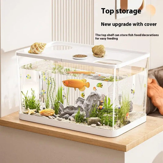 Transparent Mini Fish Tank With Lid For Desktop Aquarium Decor