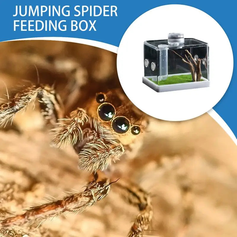 Liilaimic Spider Cage Reptile Hatching Box Breeding Tank