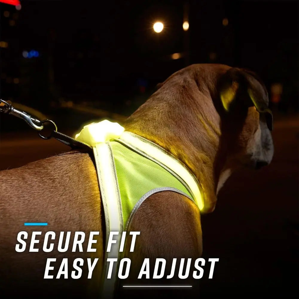 Multicolor LED Lighted Reflective Dog Harness USB Charging Adjustable Waterproof