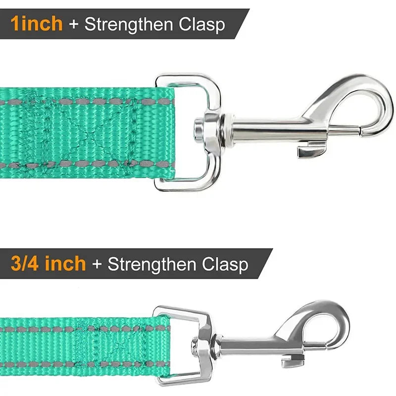 Night Reflective Dog Leash for Walking and Training