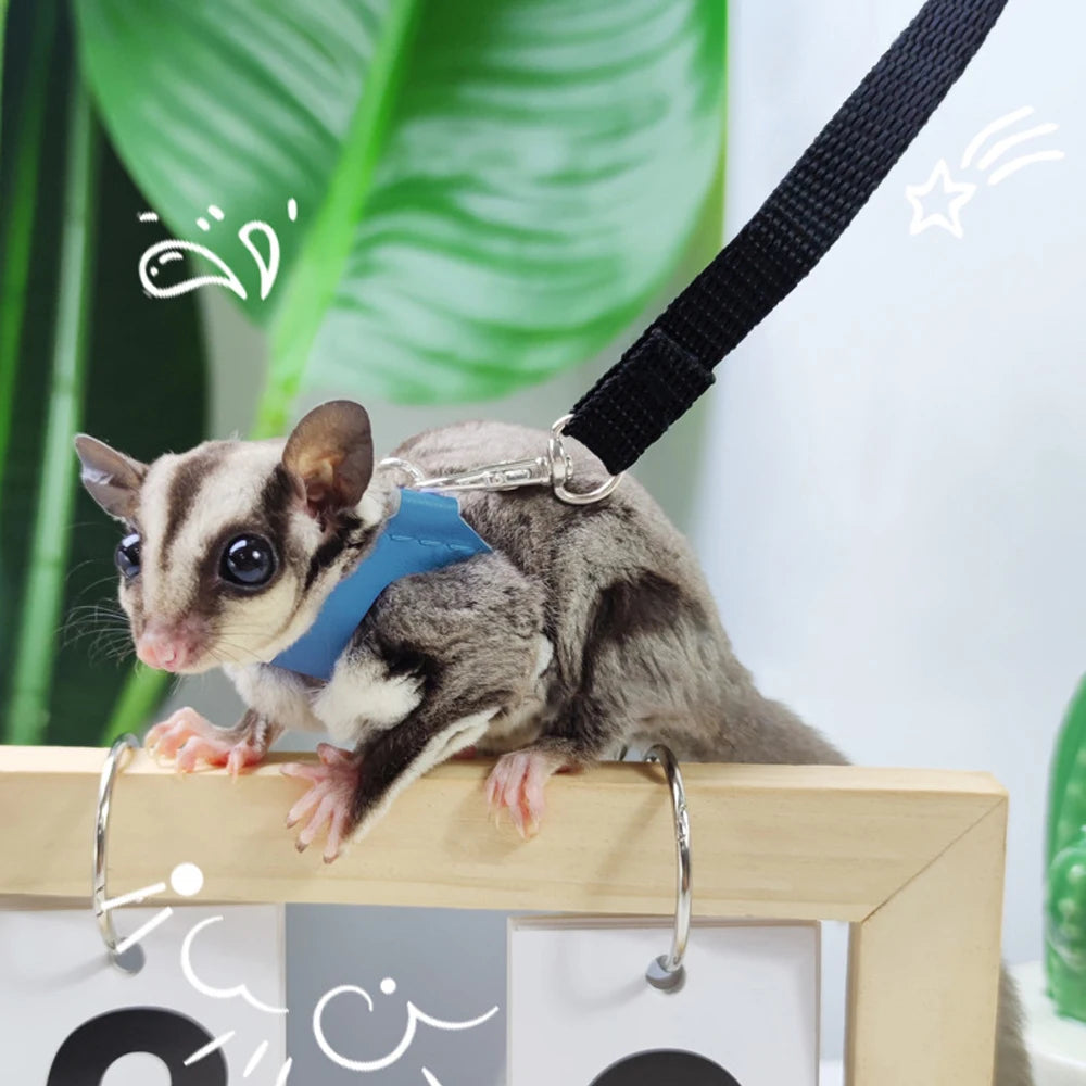 Small Animal Harness and Leash Set with Escape Proof Collar