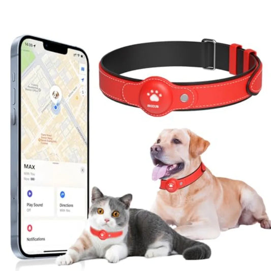 2 In 1 GPS Tracking Pets Real Time Location Collar