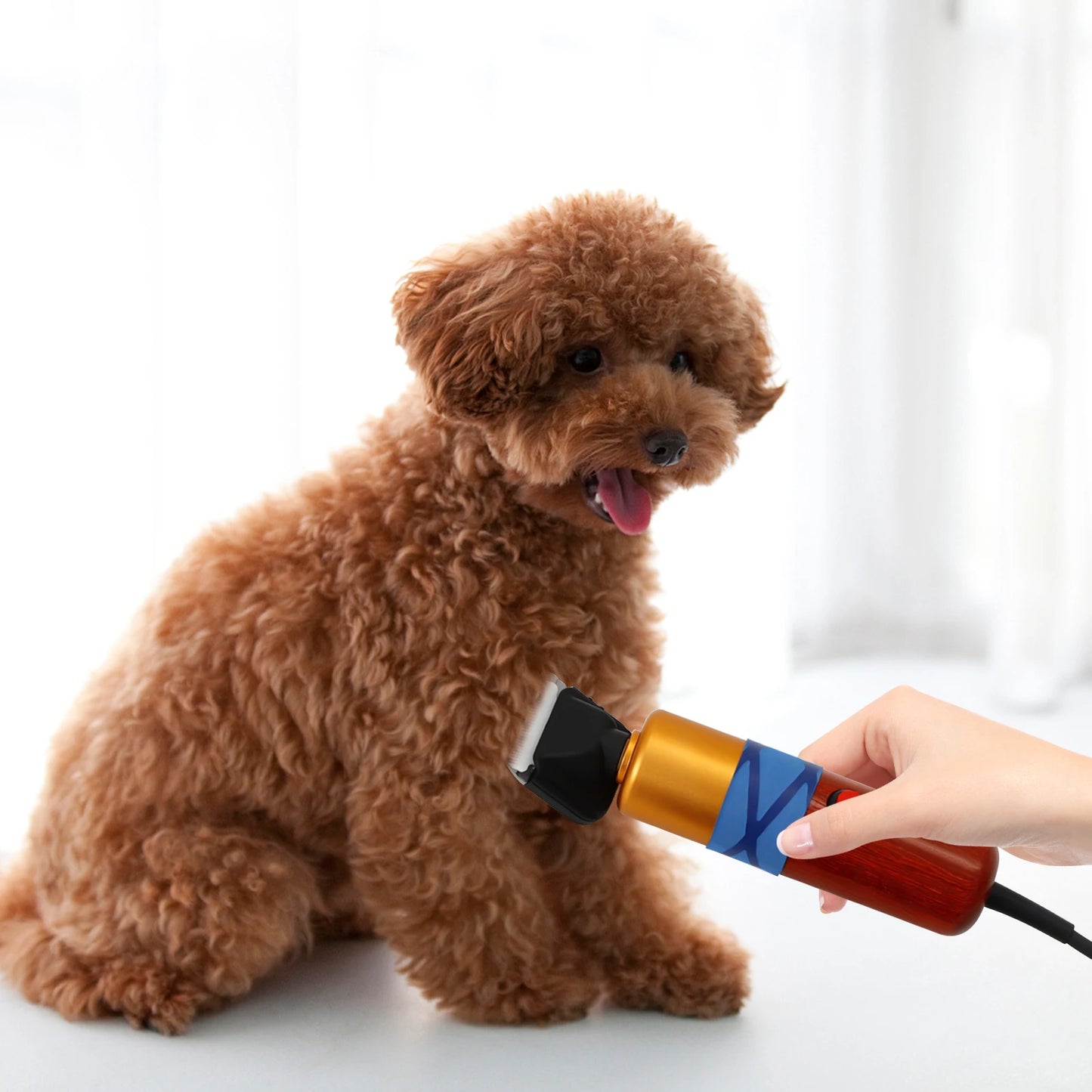 Pet Hair Clipper Low Noise High Efficiency Variable Speed