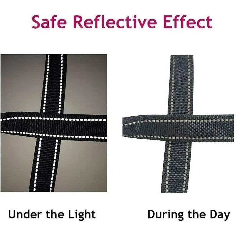 Night Reflective Dog Leash for Walking and Training