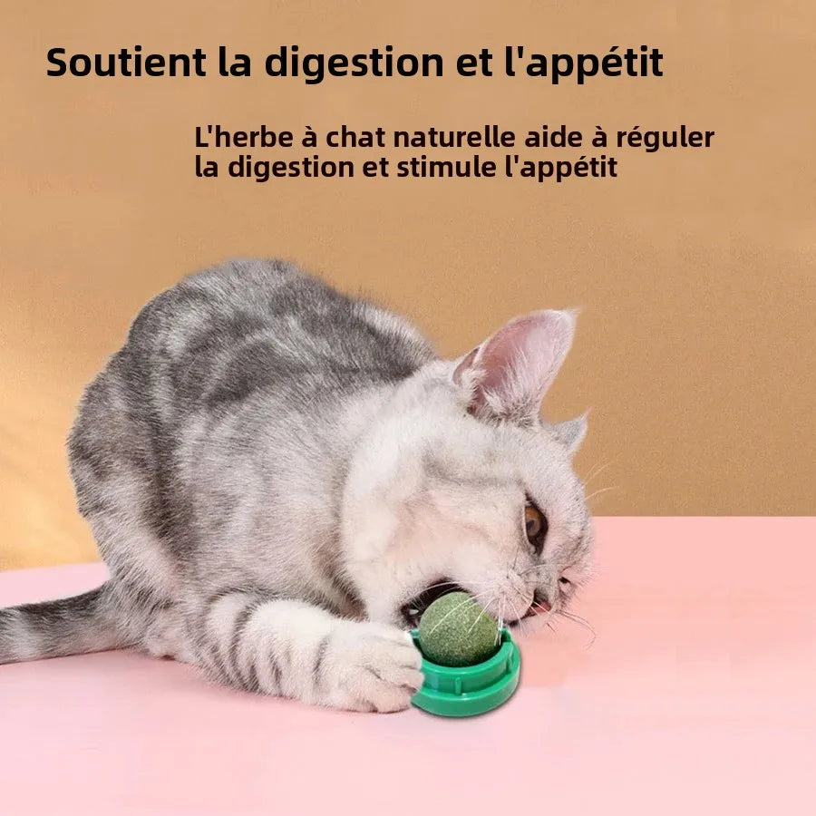 Spinning Catnip Mint Ball Cat Toy For Hairball Control