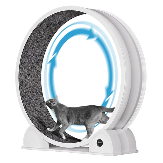 HiMIS Cat Exercise Wheel Indoor Cats Pedometer Quiet Treadmill