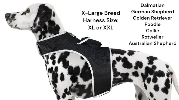 NONECN GPS Tracking Collar Real Time Location For Cats Dogs