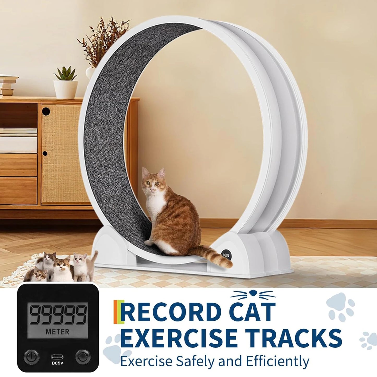 HiMIS Cat Exercise Wheel Indoor Cats Pedometer Quiet Treadmill