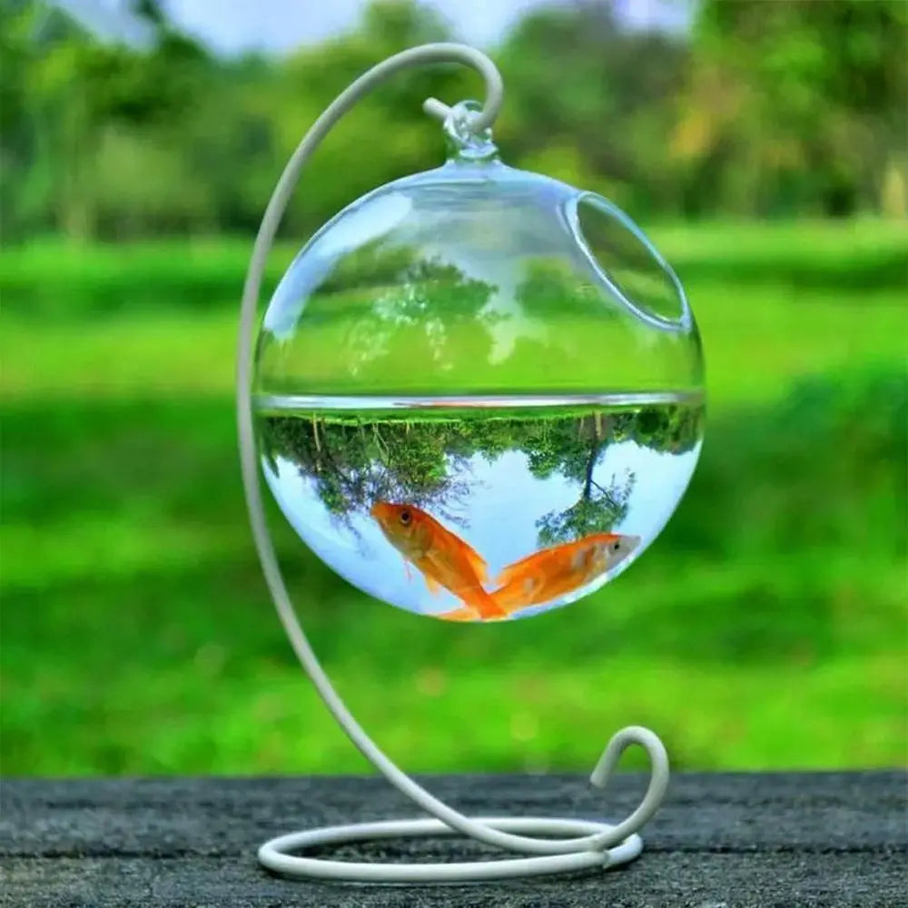 Hanging Glass Fish Bowl With Rack Holder For Home Decoration