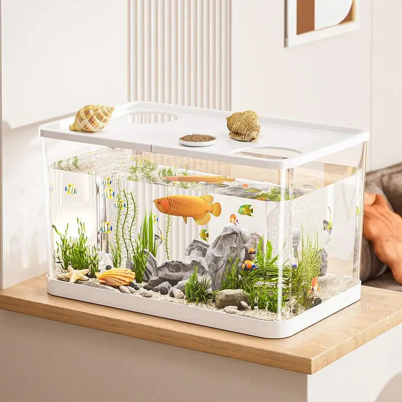 Transparent Mini Fish Tank With Lid For Desktop Aquarium Decor