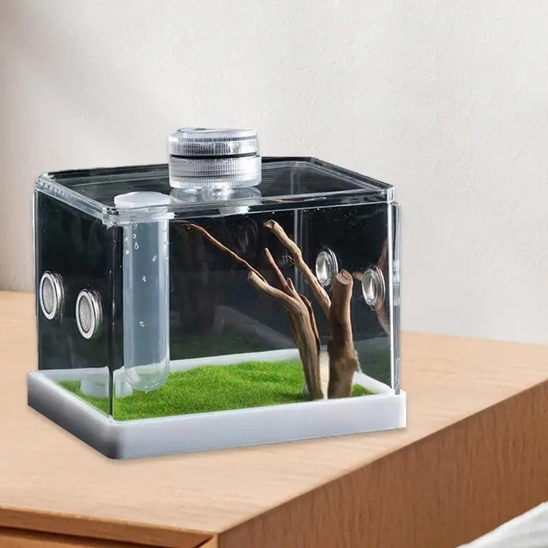 Liilaimic Spider Cage Reptile Hatching Box Breeding Tank