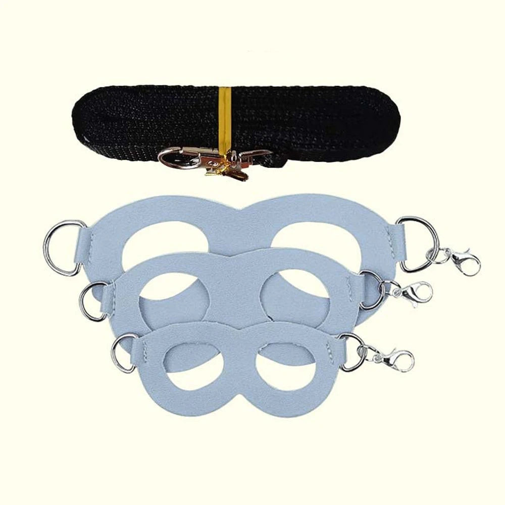 Small Animal Harness and Leash Set with Escape Proof Collar
