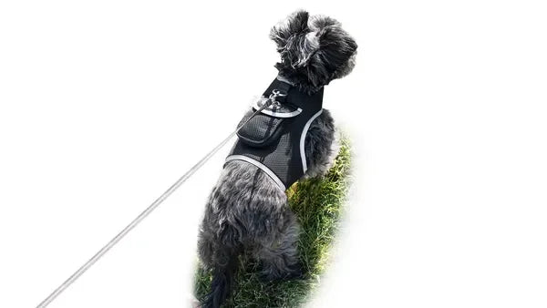 NONECN Real Time GPS Tracking Collar For Cats And Dogs