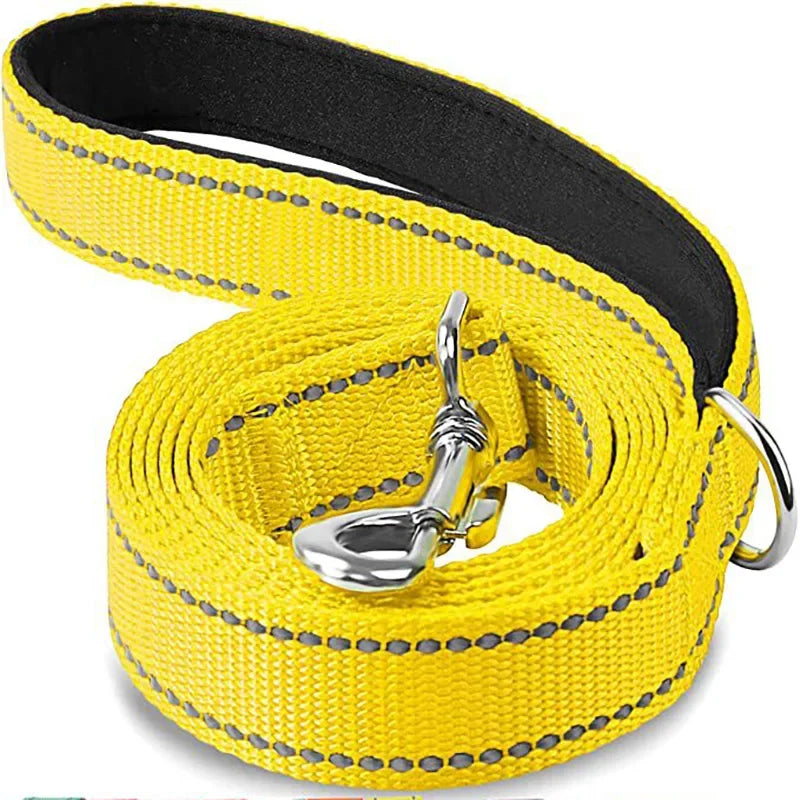 Night Reflective Dog Leash for Walking and Training