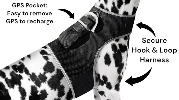 NONECN Real Time GPS Tracking Collar For Cats And Dogs