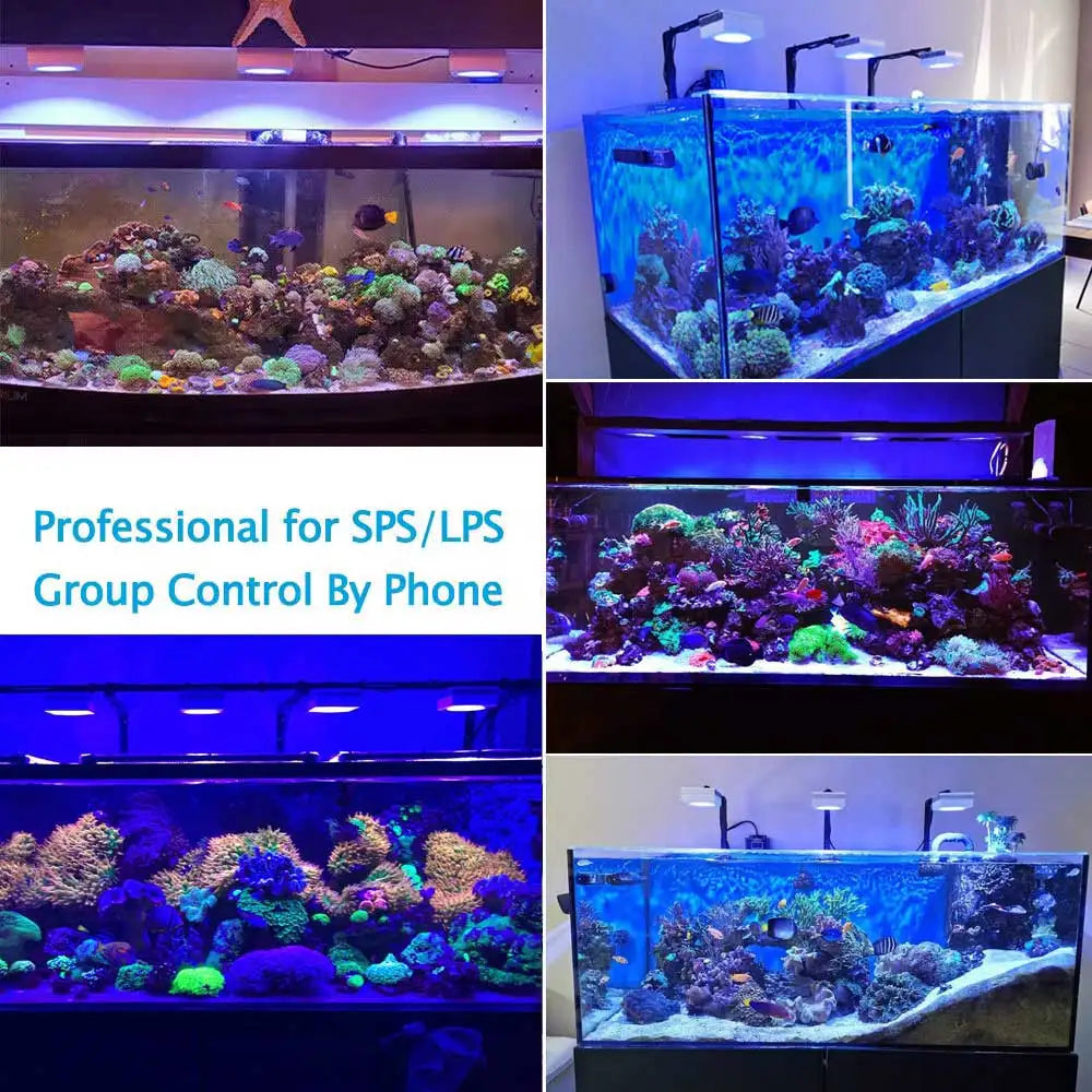 PopBloom RL90 WiFi Full Spectrum Reef Saltwater Aquarium Light