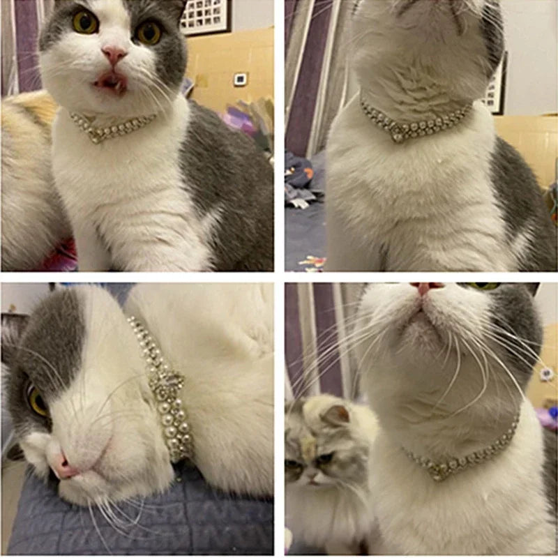 Luxury Pearl Necklace Rhinestone Collar For Cats And Dogs