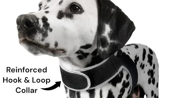 NONECN Real Time GPS Tracking Collar For Cats And Dogs