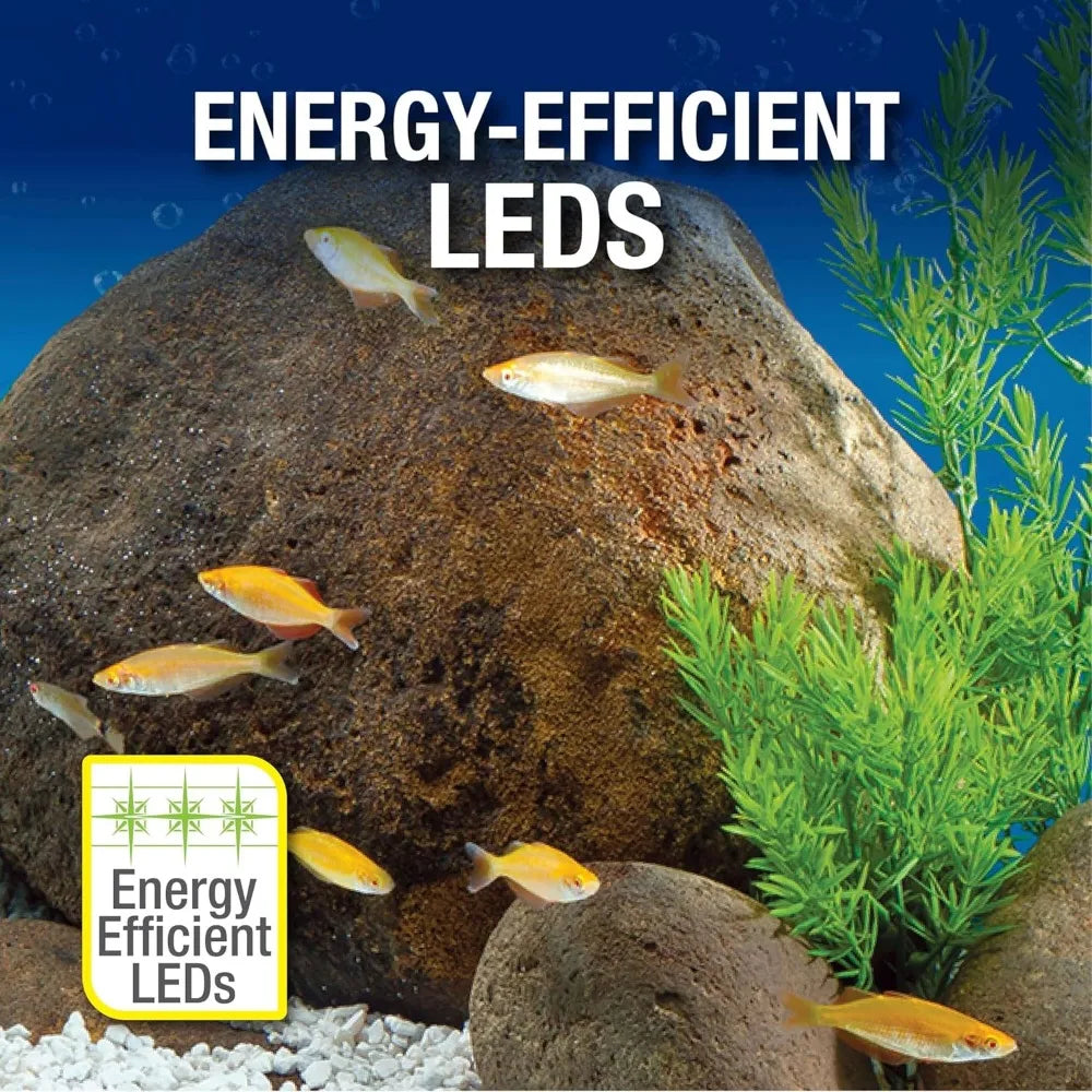 Freshwater Fish Tank Kit LED Light And Accessories