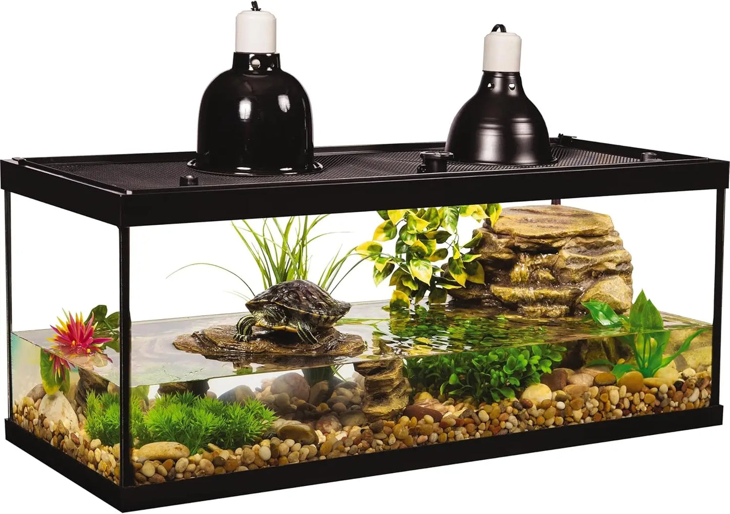 Turtle Aquarium Kit With Filter And Heating Lamps Included