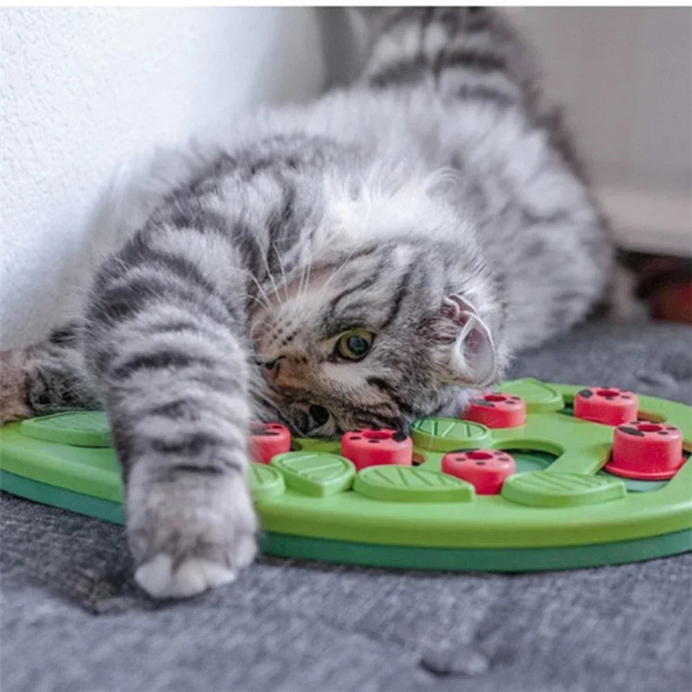 Rainy Day Puzzle And Play Cat Treat Toy Interactive Fun