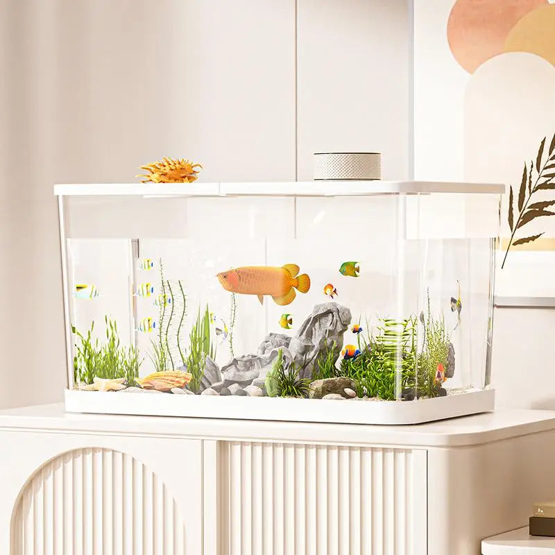 Transparent Mini Fish Tank With Lid For Desktop Aquarium Decor