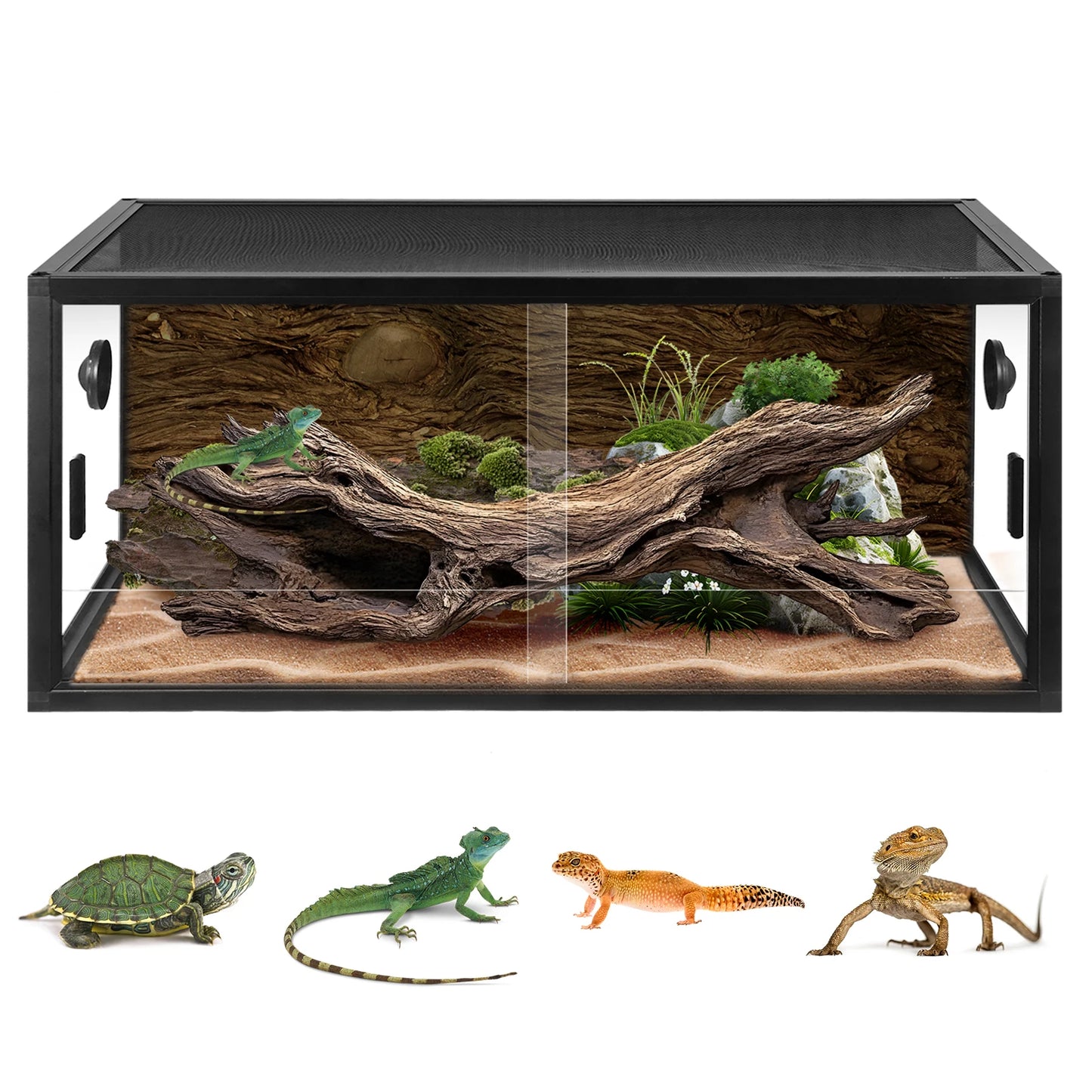 Reptile Tank Terrarium Glass Enclosure With Sliding Door Mesh Top