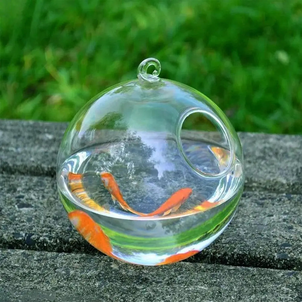 Hanging Glass Fish Bowl With Rack Holder For Home Decoration