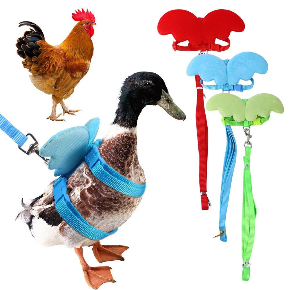 Angel Wings Harness and Leash for Small and Medium Pets