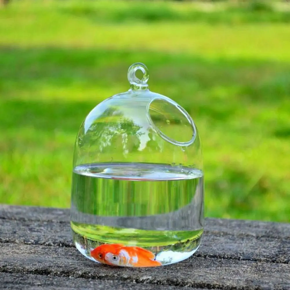 Hanging Glass Fish Bowl With Rack Holder For Home Decoration