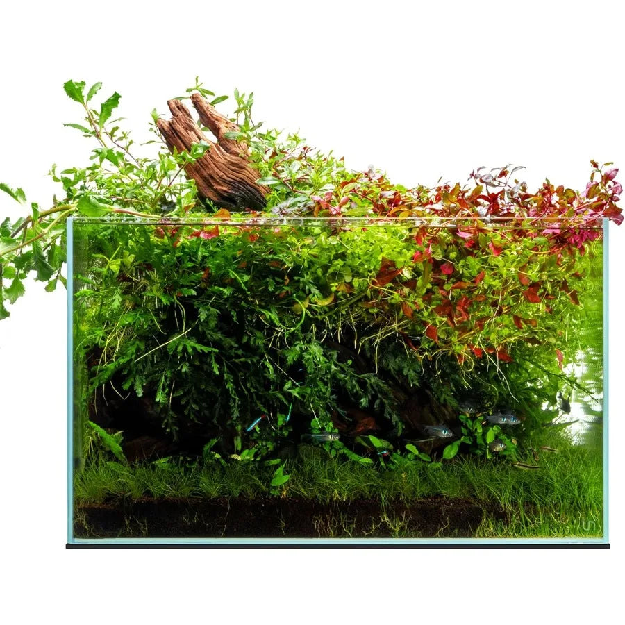 Ultra Clear Rimless Fish Tank With 45 Mitered Edge Glass
