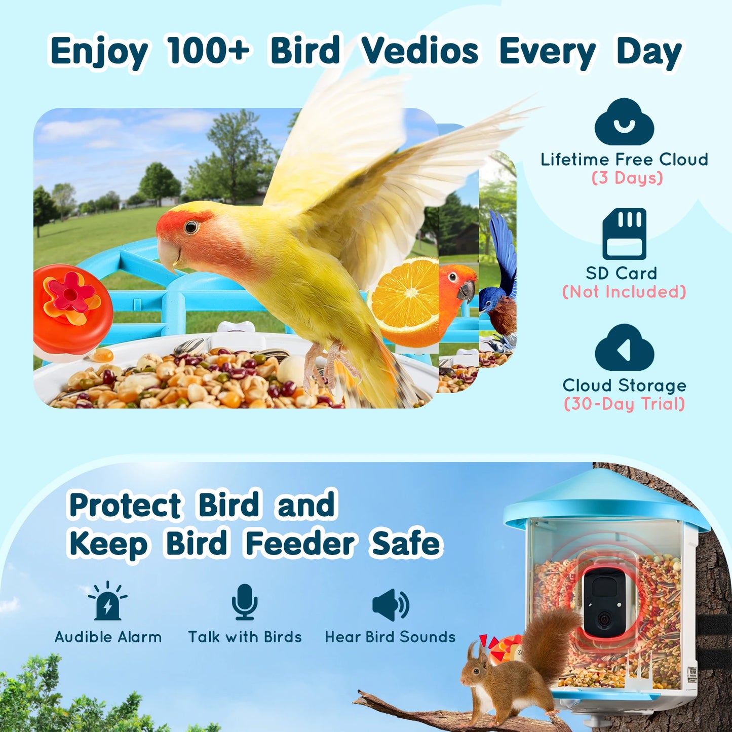 SucceBuy 2K Solar Bird Feeder Camera AI Identify Birds